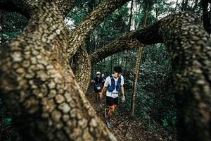 BIB: 
                            <button type="button" onclick="openModal(25393264)" class="btn btn-primary btn-sm float-right btn-popup" data-toggle="modal" data-target=".modal-high-quality">
                        <i class="fas fa-shopping-cart"></i> Add to Cart
                    </button>
                                            <button type="button" onclick="isThisMe(25393264, true)" class="btn btn-success btn-sm float-right btn-popup btn-isme hidden" data-toggle="tooltip" data-placement="bottom" title="นี่คือรูปของคุณใช่ไหม คลิกที่นี่เพื่อเอาเข้าอัลบั้ม">
                        <i class="fas fa-plus"></i> Add to album
                    </button>
                    <button type="button" onclick="isThisMe(25393264, false)" class="btn btn-warning btn-sm float-right btn-popup btn-isnotme hidden">
                        <i class="fas fa-ban"></i> Remove from album
                    </button>